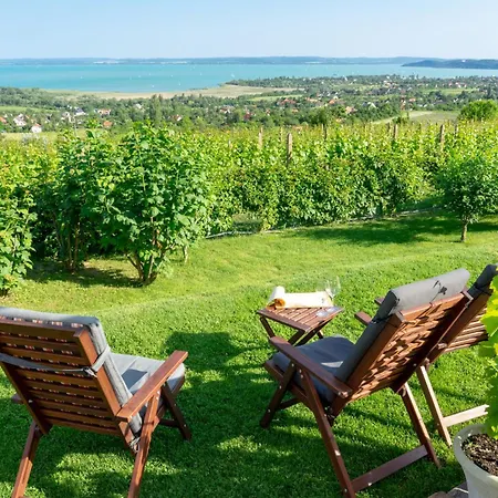 In - Balaton 54662 Замарди